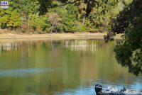 Land Between the Lakes National Recreation Area (KY)