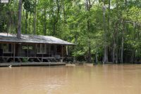 Honey Island Swamp (LA)