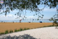 Sandy Point State Park (MD)