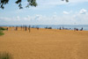 Sandy Point State Park (MD)