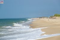 Martha's Vineyard (MA)
