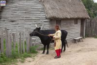 Plimoth Patuxet Museums (MA)