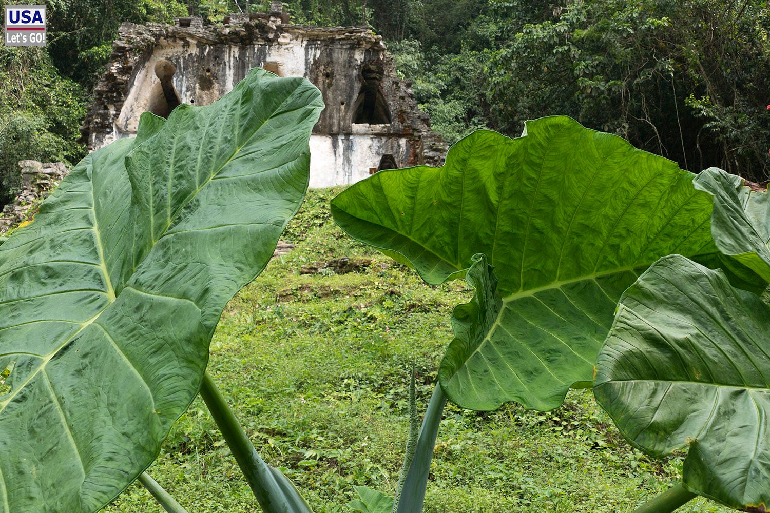 Palenque Templo Cruz Foliada