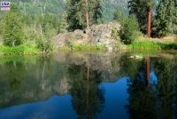 Thompson Falls State Park (MT)