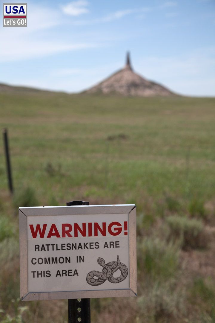 Warning Rattlesnakes