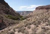 Kershaw-Ryan State Park (NV)
