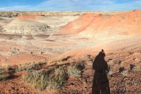 Bisti / De-Na-Zin Wilderness (NM)
