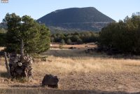 Capulin Volcano National Monument (NM)