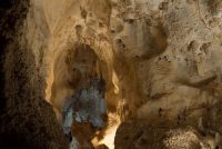 Carlsbad Caverns National Park (NM)