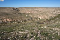 Carlsbad Caverns National Park (NM)