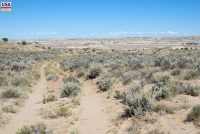 De-Na-Zin Wilderness Area (NM)