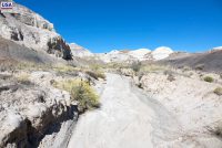 De-Na-Zin Wilderness Area (NM)