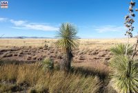 Lake Valley Ghost Town (NM)