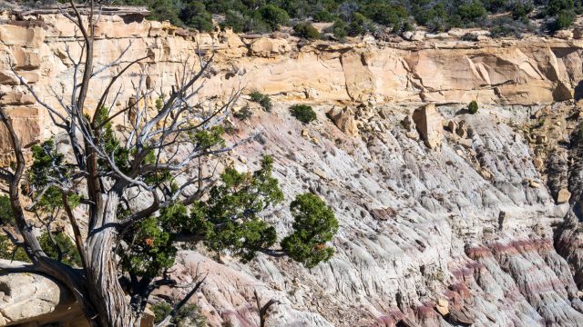 Lybrook Badlands (NM)