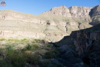 Oliver Lee Memorial SP (NM)