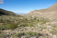 Oliver Lee Memorial SP (NM)