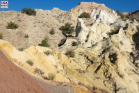 San Ysidro Anticline (NM)