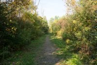 Buckhorn Island State Park (NY)
