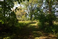 Buckhorn Island State Park (NY)