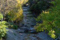 Buttermilk Falls State Park (NY)