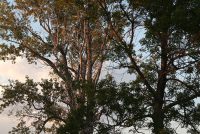 Hamlin Beach State Park (NY)