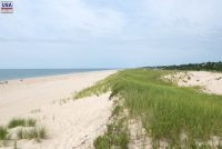 The Hamptons (NY)