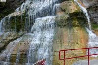 Robert H. Treman State Park (NY)