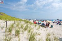 Island Beach State Park (NJ)