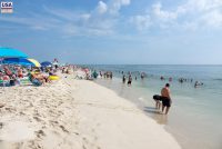 Island Beach State Park (NJ)