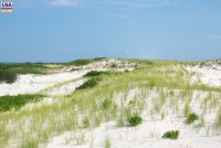 Island Beach State Park (NJ)