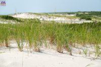 Island Beach State Park (NJ)