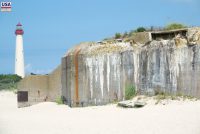 Cape May Point State Park (NJ)