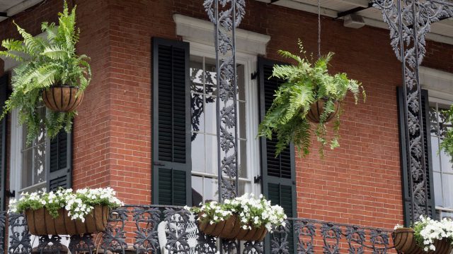 New Orleans (LA)
