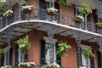 New Orleans (LA)
