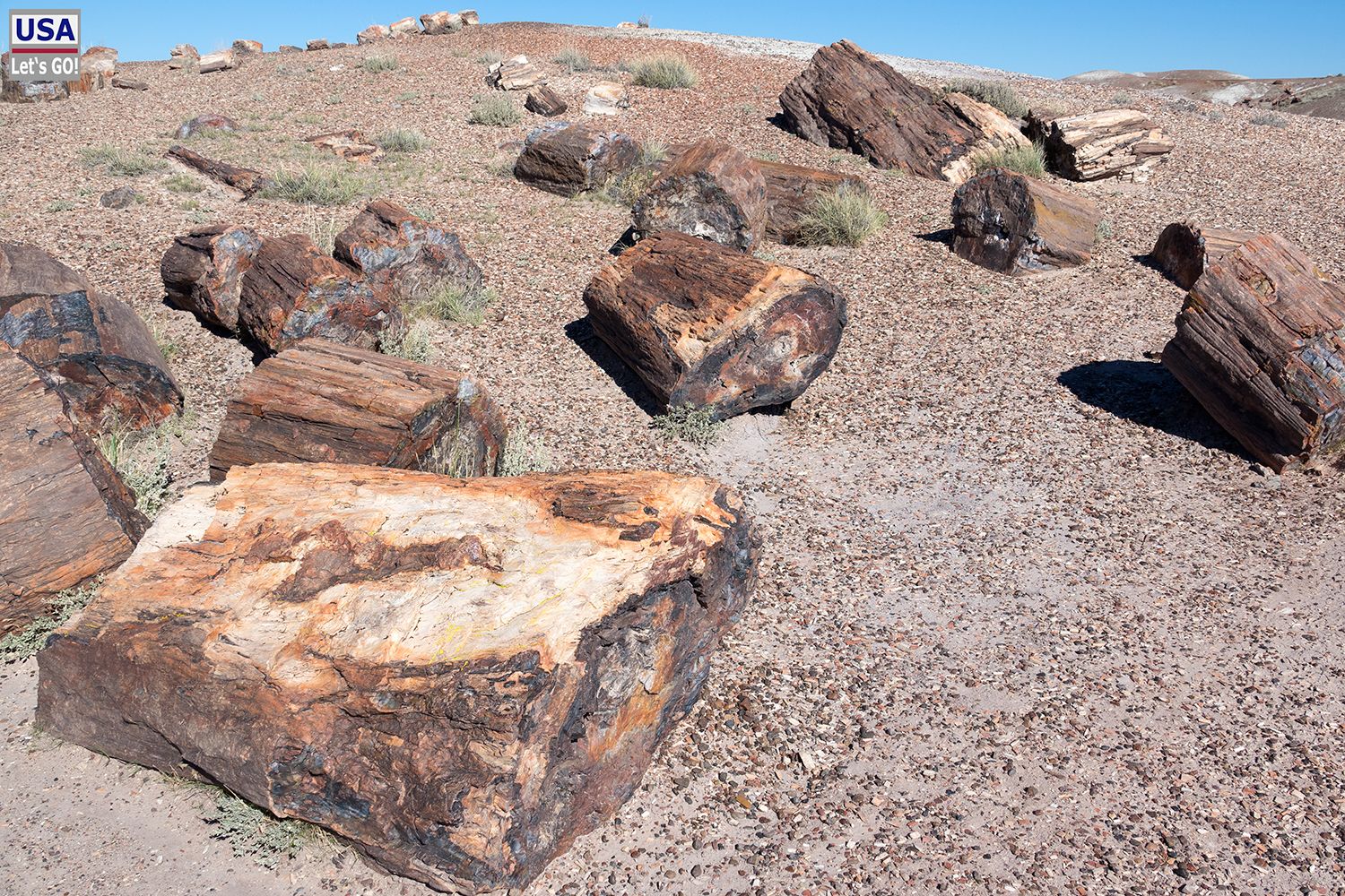 Petrified Forest National Park Crystal Forest Trail