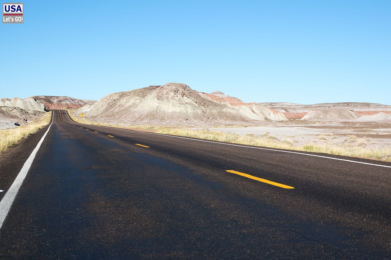 Petrified Forest National Park