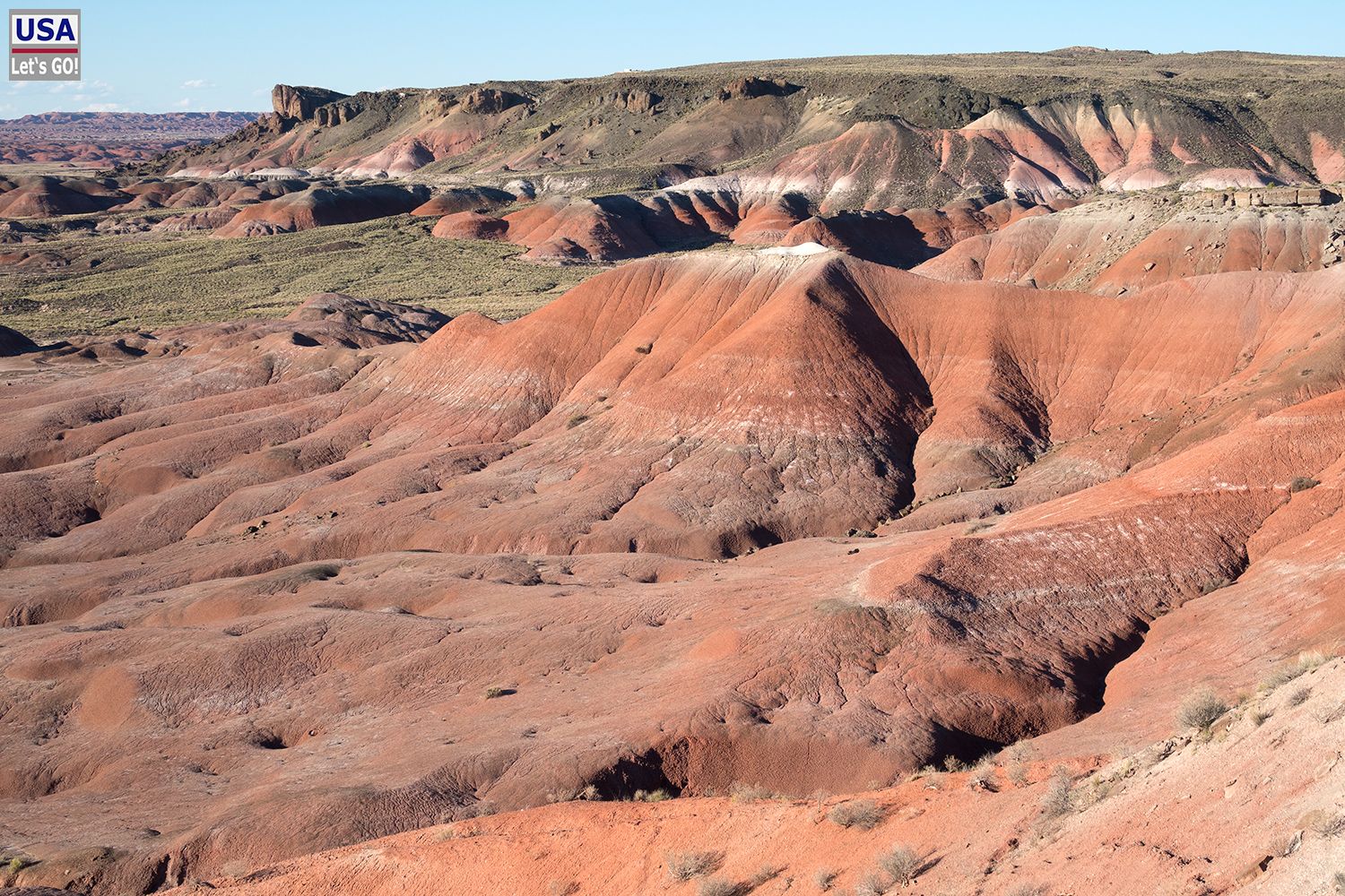 Petrified Forest National Park Lacey Point