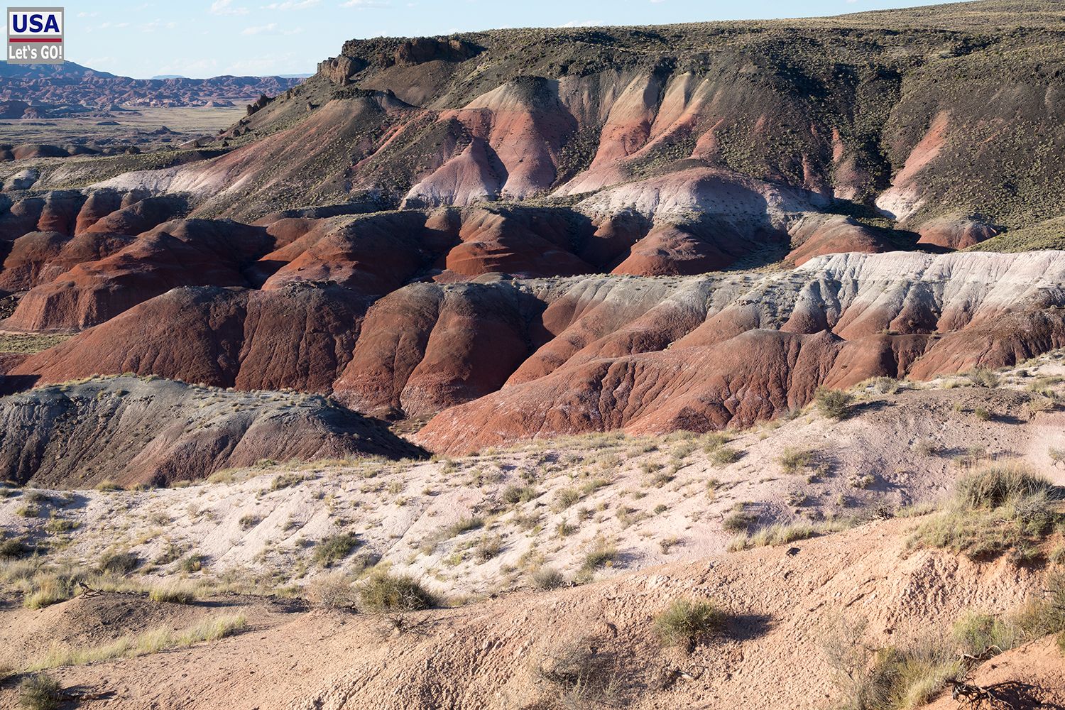 Petrified Forest National Park Whipple Point