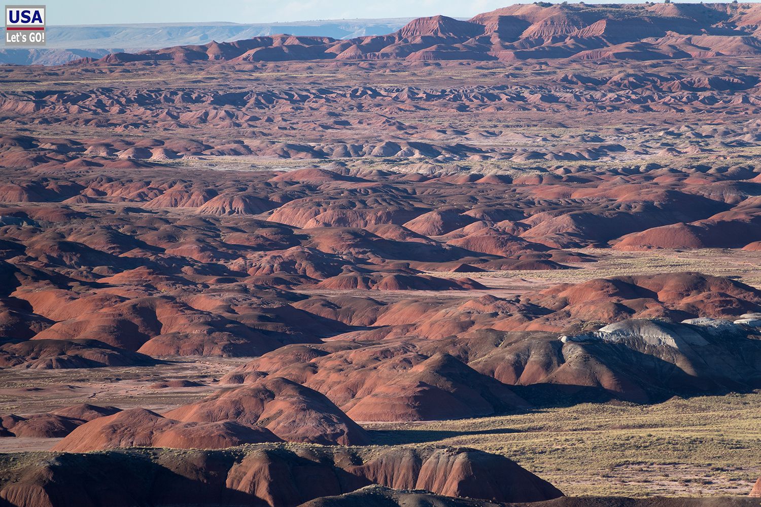 Petrified Forest National Park Pintado Point