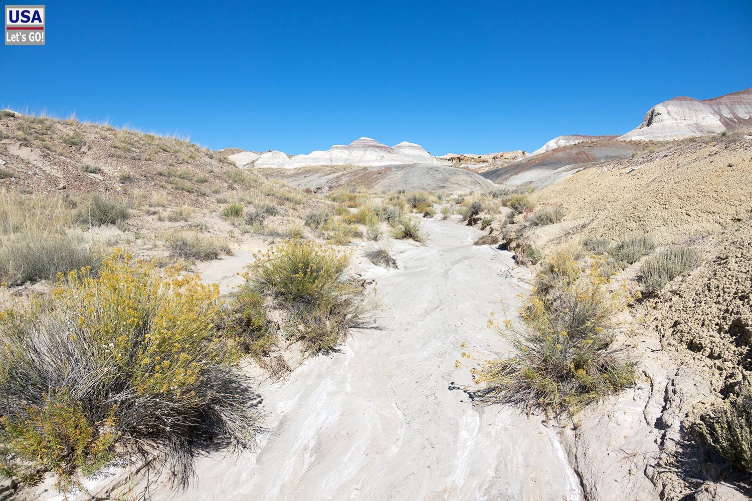 De-Na-Zin Wilderness Area