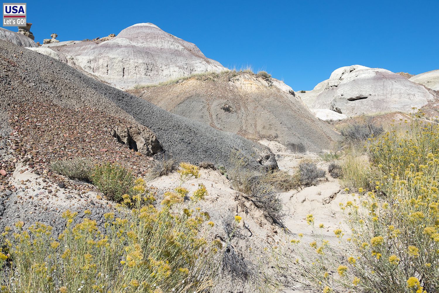 De-Na-Zin Wilderness Area