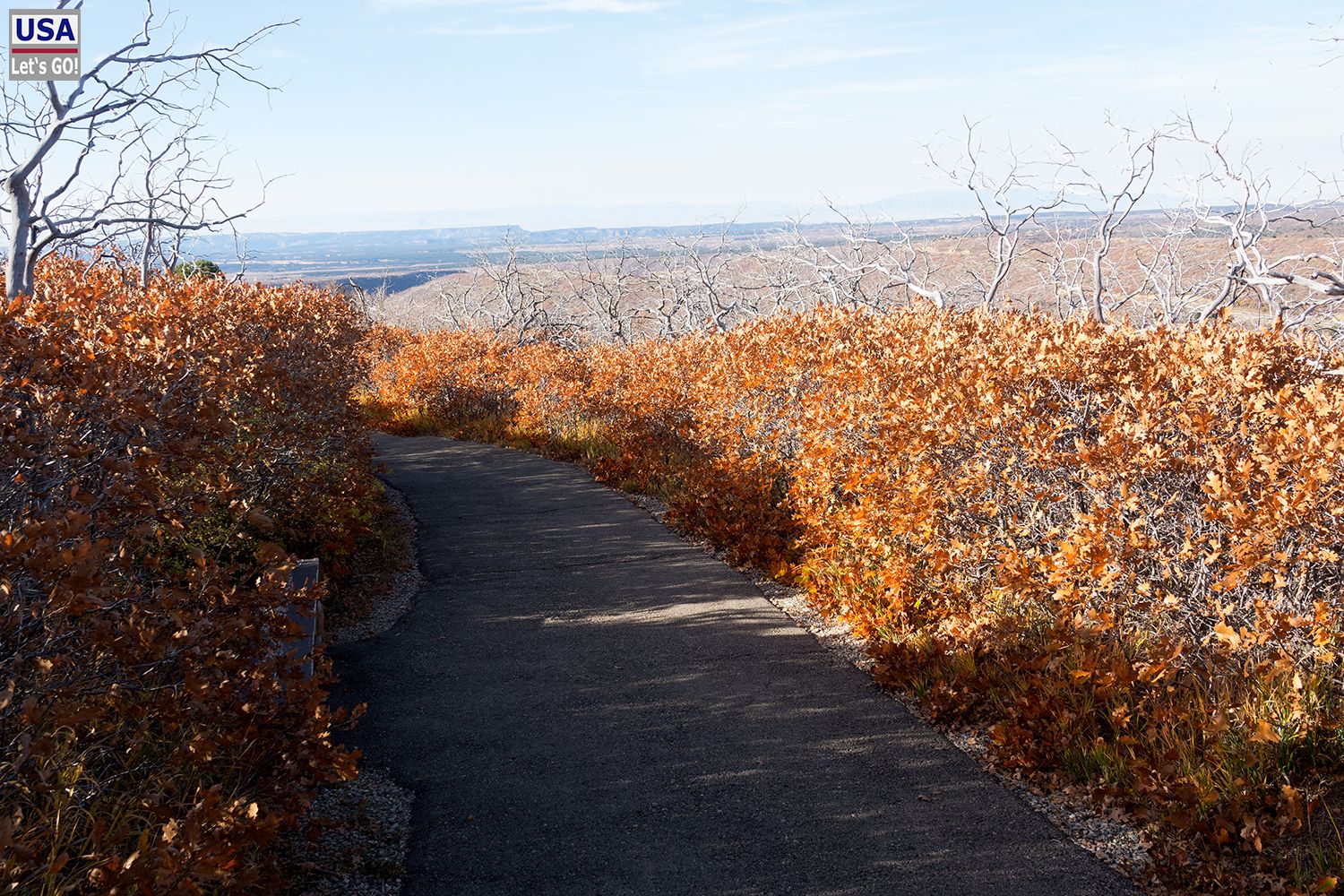 Mesa Verde National Park Point