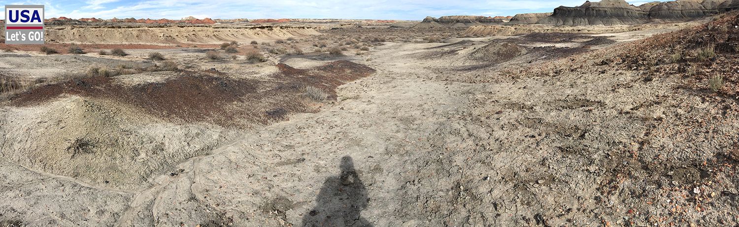 Bisti Wilderness Area