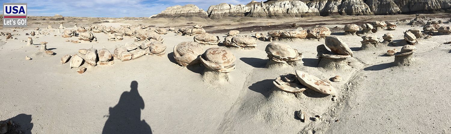 Bisti Wilderness Area Cracked Eggs