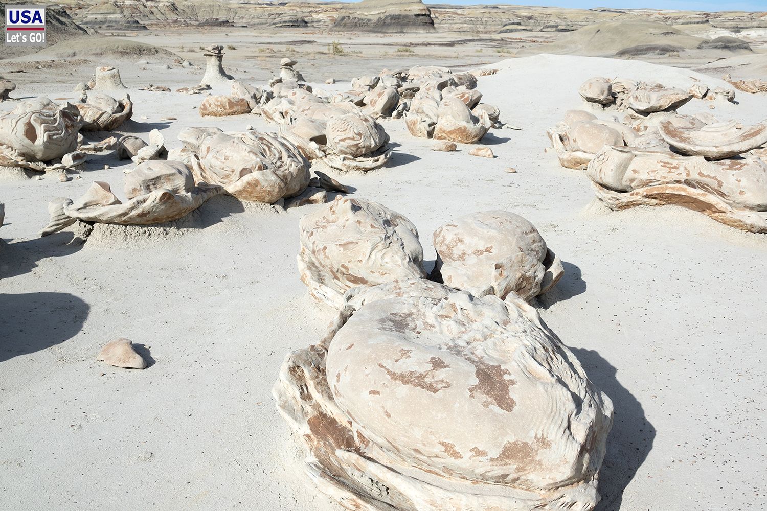 Bisti Wilderness Area Cracked Eggs