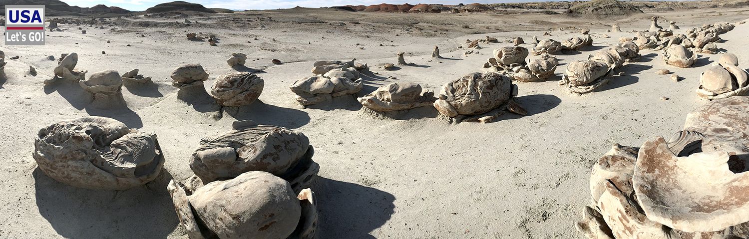 Bisti Wilderness Area Cracked Eggs