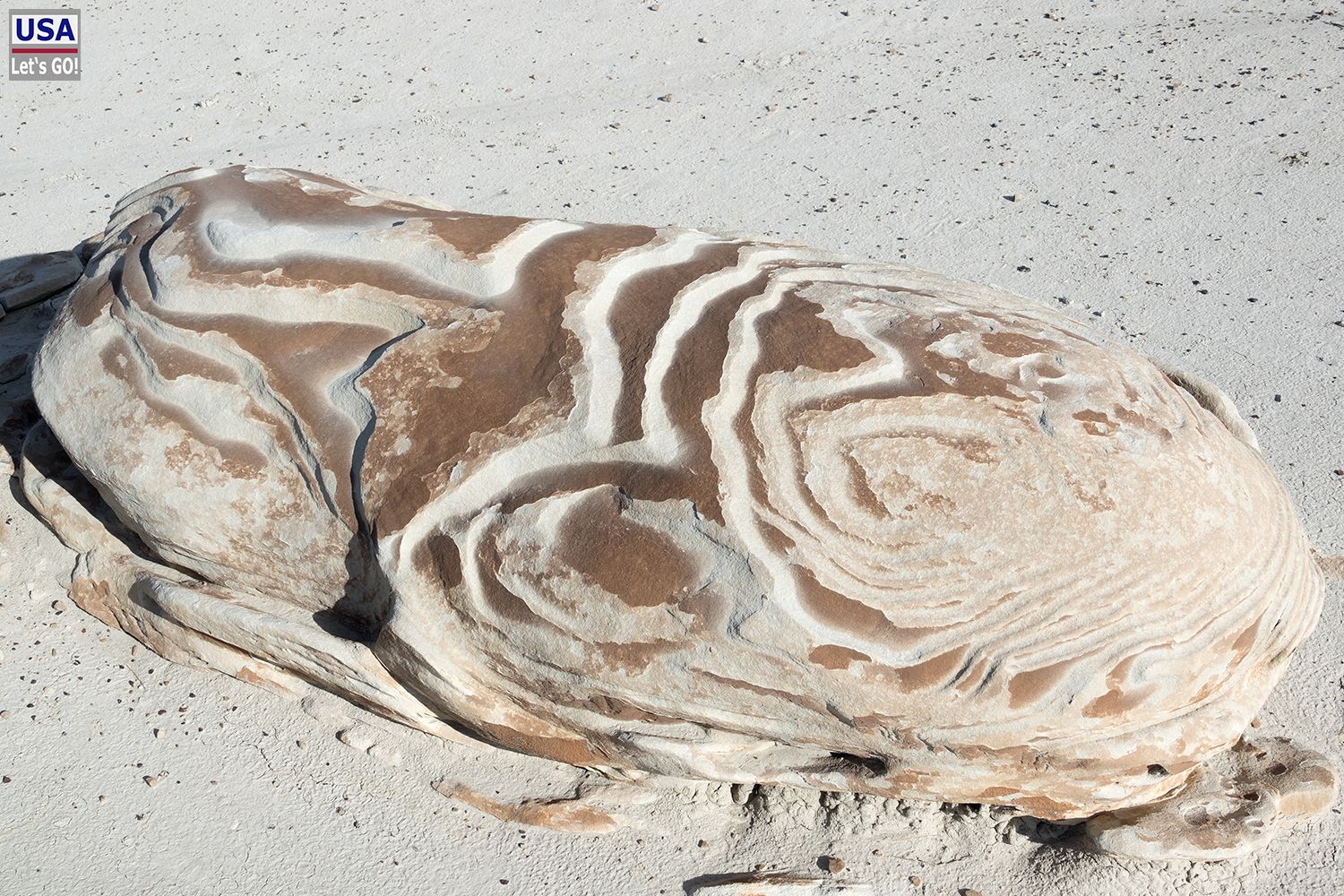 Bisti Wilderness Area Cracked Eggs