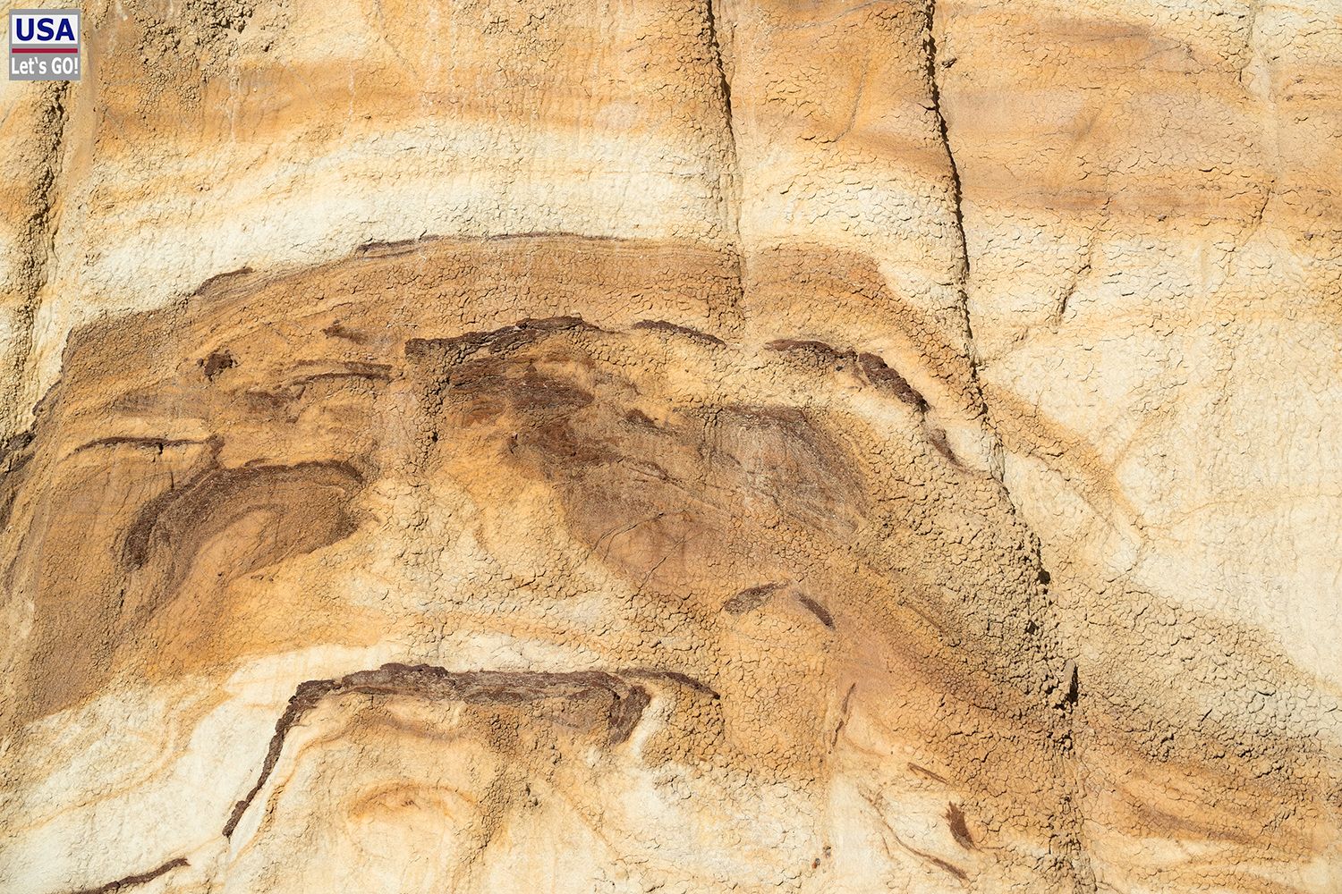 Bisti Wilderness Area