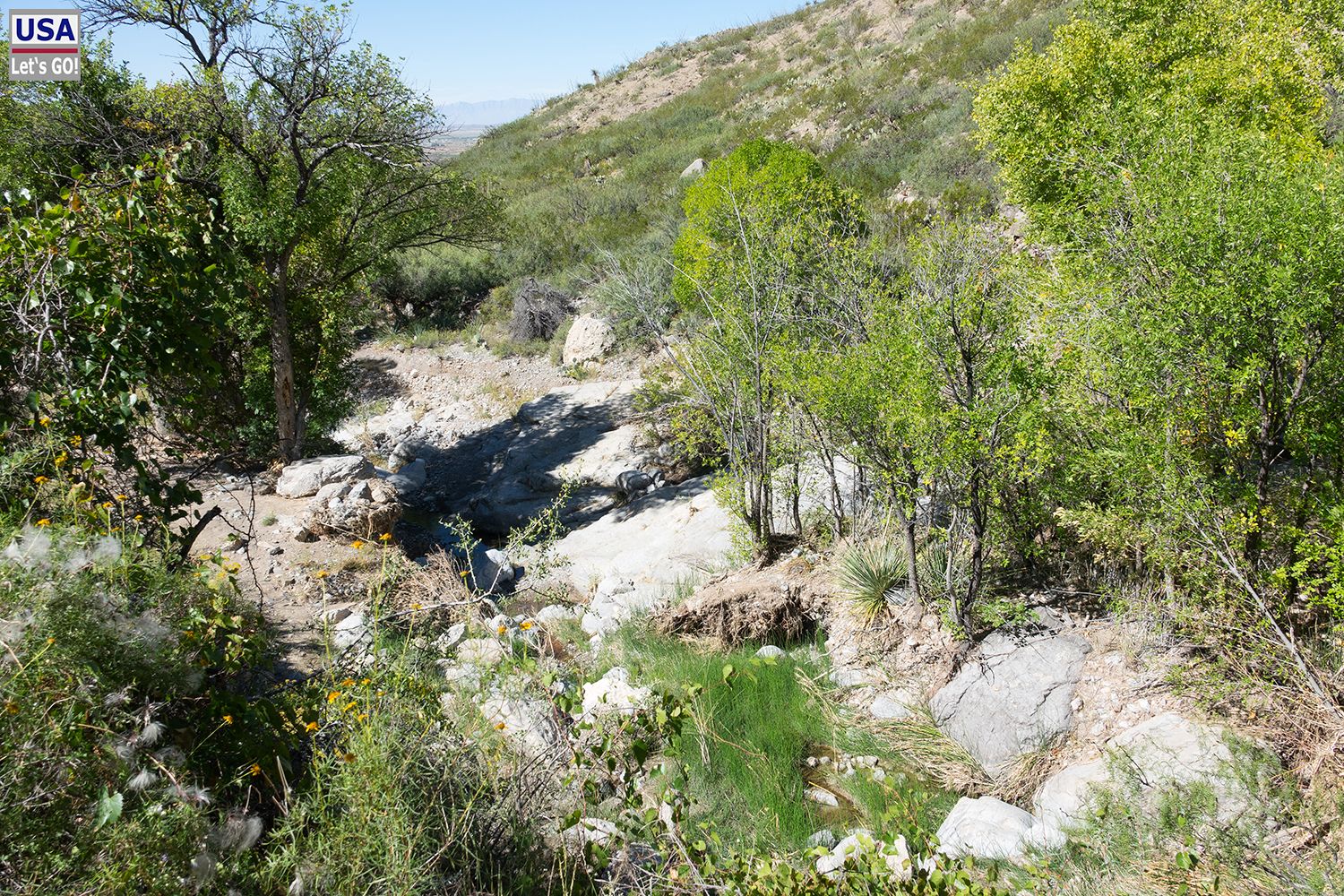 Oliver Lee Memorial Riparian Nature Trail