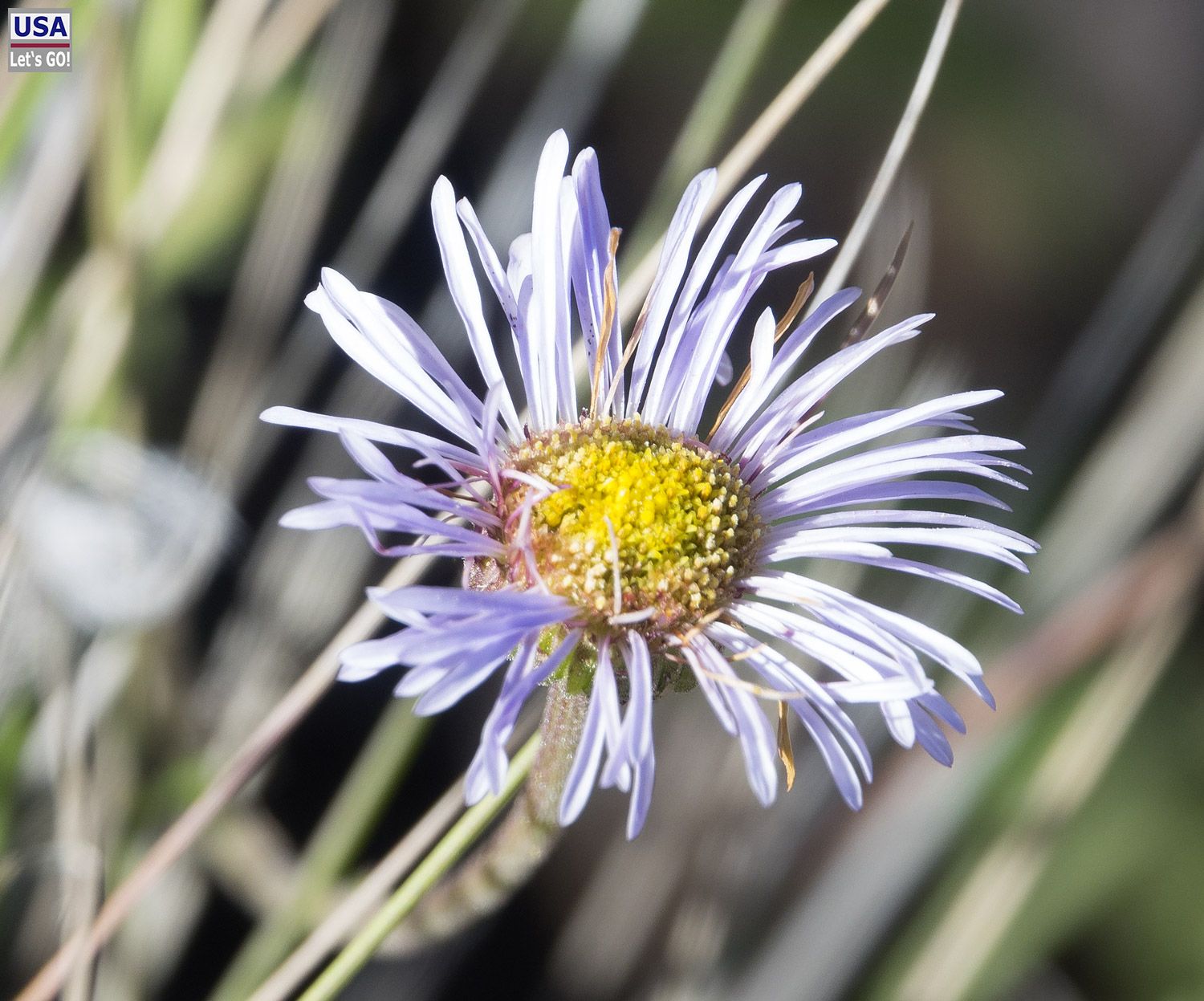 Gila Cliff Dwellings National Monument